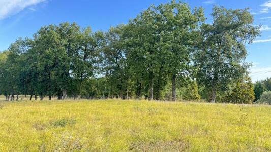 Vente Terrain MONTJOIRE 31380