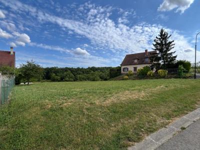 Vente Terrain VILLE-EN-TARDENOIS 51170