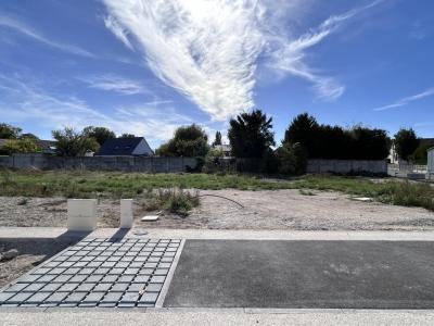 Vente Terrain VERZENAY 51360