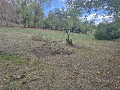 Vente Terrain FRONSAC 33126