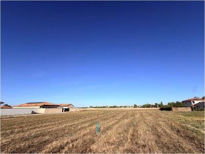 Vente Terrain FROUZINS 31270