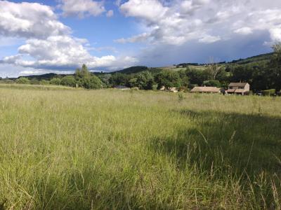 Vente Terrain BELVEZE-DU-RAZES 11240