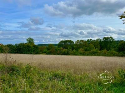 Vente Terrain CRAIN 89480