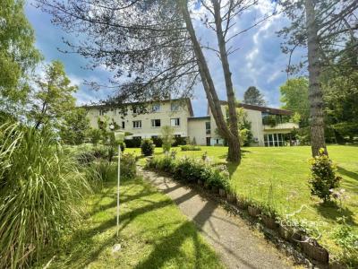 Vente Immeuble PEYRAT-DE-BELLAC 87300