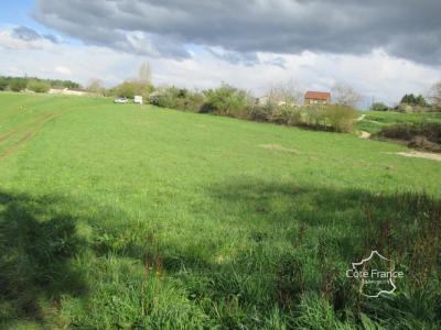 Vente Terrain BELVES 24170