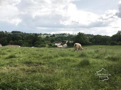 Vente Terrain BAGNAC-SUR-CELE 46270