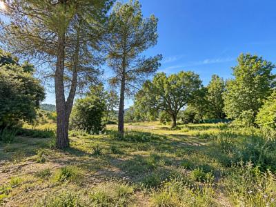 Vente Terrain BASTIDE-DES-JOURDANS 84240