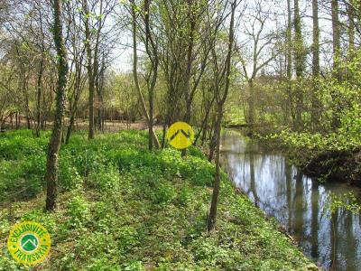 Vente Terrain GUERCHE-SUR-L'AUBOIS 18150