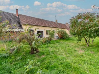 Vente Maison 6 pi�ces THEILLAY 41300