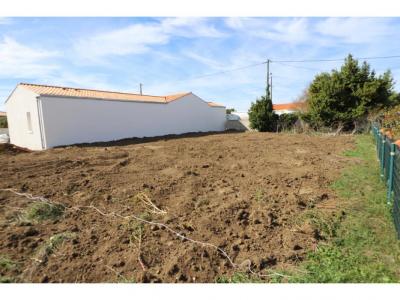Vente Terrain SAINT-GEORGES-D'OLERON 17190