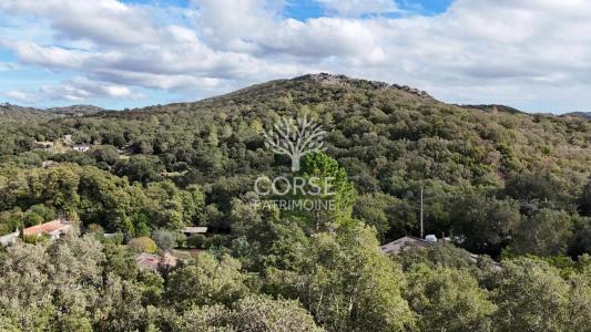 Vente Maison 3 pi�ces PORTO-VECCHIO 20137