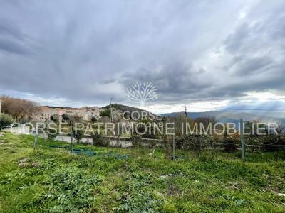 Vente Terrain PIETRASERENA 20251