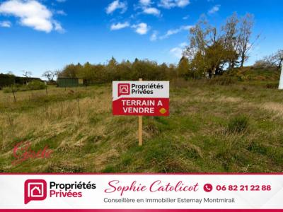 Vente Terrain SANCY-LES-PROVINS 77320