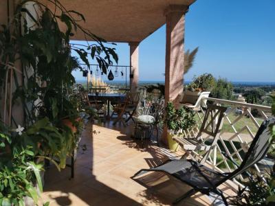 Location Maison 4 pi�ces CASTELLARE-DI-CASINCA 20213