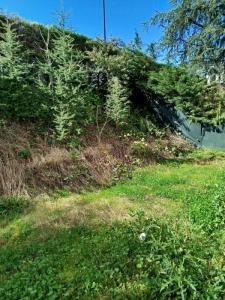 Location Appartement 3 pi�ces SAINT-DIDIER-AU-MONT-D'OR 69370