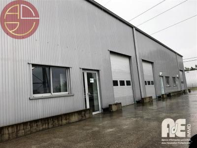 Location Commerce ESCALQUENS 31750