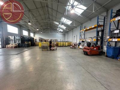Location Commerce TOULOUSE 31100