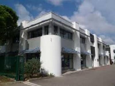 Location Bureau TOULOUSE 31100