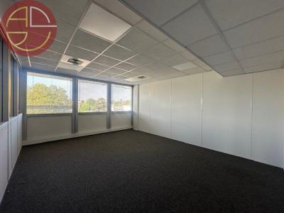 Location Local commercial COLOMIERS 31770
