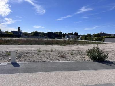 Vente Terrain VAL-DE-VESLE 51360