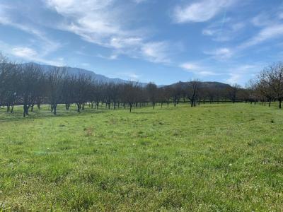 Vente Terrain TULLINS 38210
