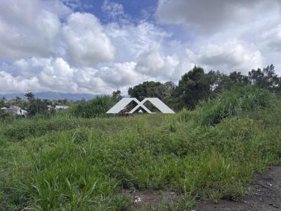 Vente Terrain TAMPON 97430