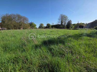 Vente Terrain XANTON-CHASSENON 85240