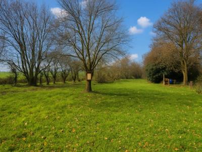 Vente Terrain MONCHEAUX 59283