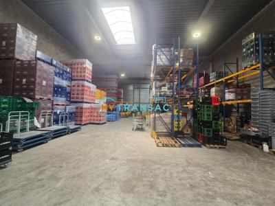 Location Commerce BOISSY-SAINT-LEGER 94470