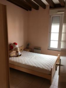 Location Appartement 2 pi�ces SABLE-SUR-SARTHE 72300