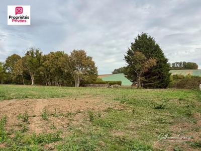 Vente Terrain FOURNAUDIN 89320