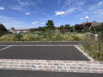 Vente Terrain CAUREL 51110