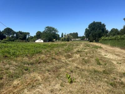 Vente Terrain SAINT-SAVIN 33920