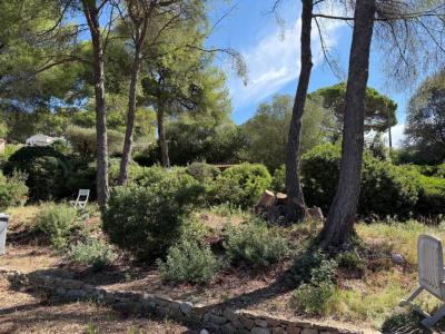 Vente Terrain OLLIOULES 83190