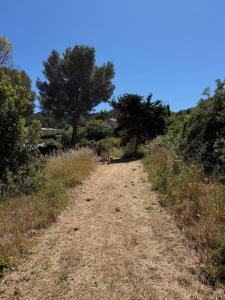 Vente Terrain HYERES 83400