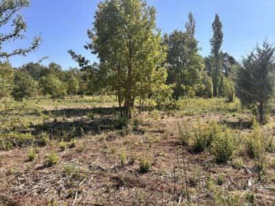 Vente Terrain CABRIES 13480