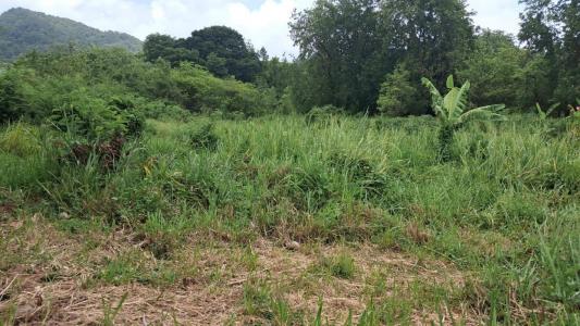 Vente Terrain TROIS-RIVIERES 97114