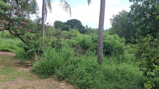Vente Terrain TROIS-RIVIERES 97114