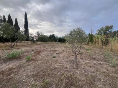 Vente Terrain RIVESALTES 66600