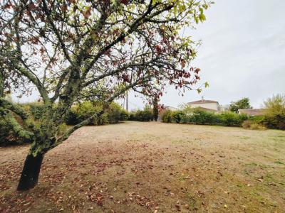 Vente Terrain SAINT-CAPRAIS-DE-BORDEAUX 33880