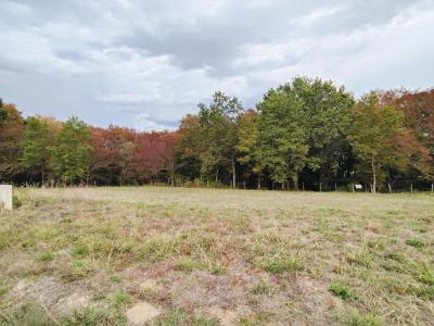 Vente Terrain BOULIAC 33270