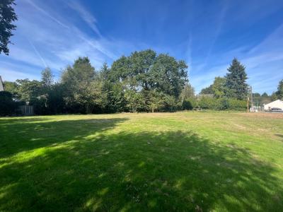 Vente Terrain SAINT-MARCEL 56140