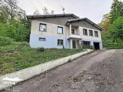 Vente Maison 7 pi�ces MIRECOURT 88500