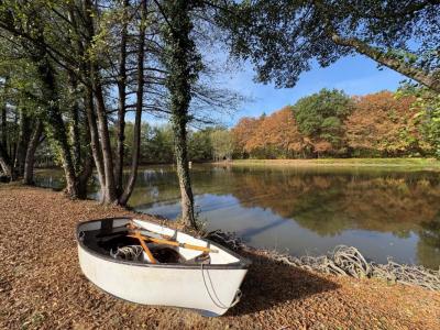 Vente Terrain GENOUILLAC 23350