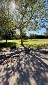 Vente Maison 5 pi�ces LUNEL 34400