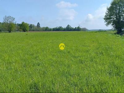 Vente Terrain CHATEAUROUX 36000