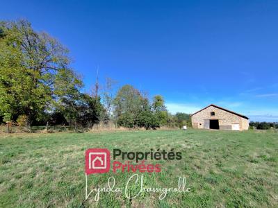 Vente Maison 3 pi�ces RIORGES 42153