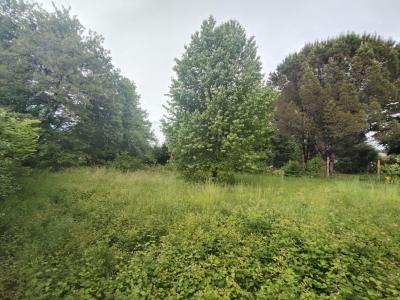 Vente Terrain LIGNAN-DE-BORDEAUX 33360