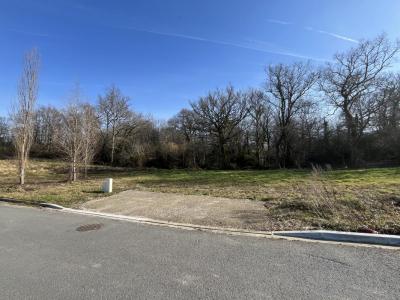 Vente Terrain SALLEBOEUF 33370