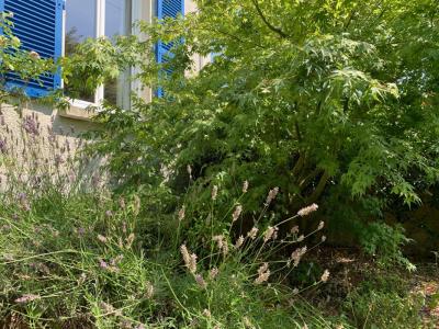 Vente Maison 3 pi�ces VANNES 56000